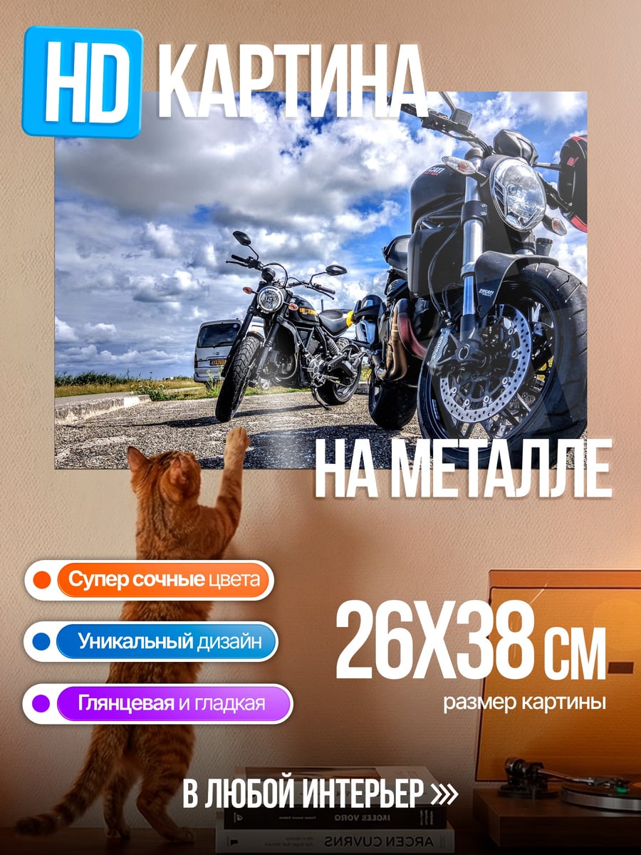 Картина на металле Мотоциклы на дороге