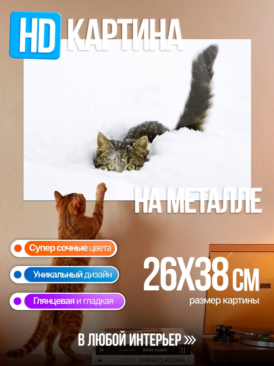 Картина на металле Кот в снегу