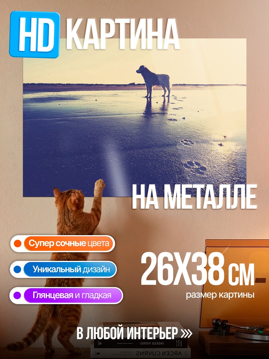 Картина на металле Собака на пляже
