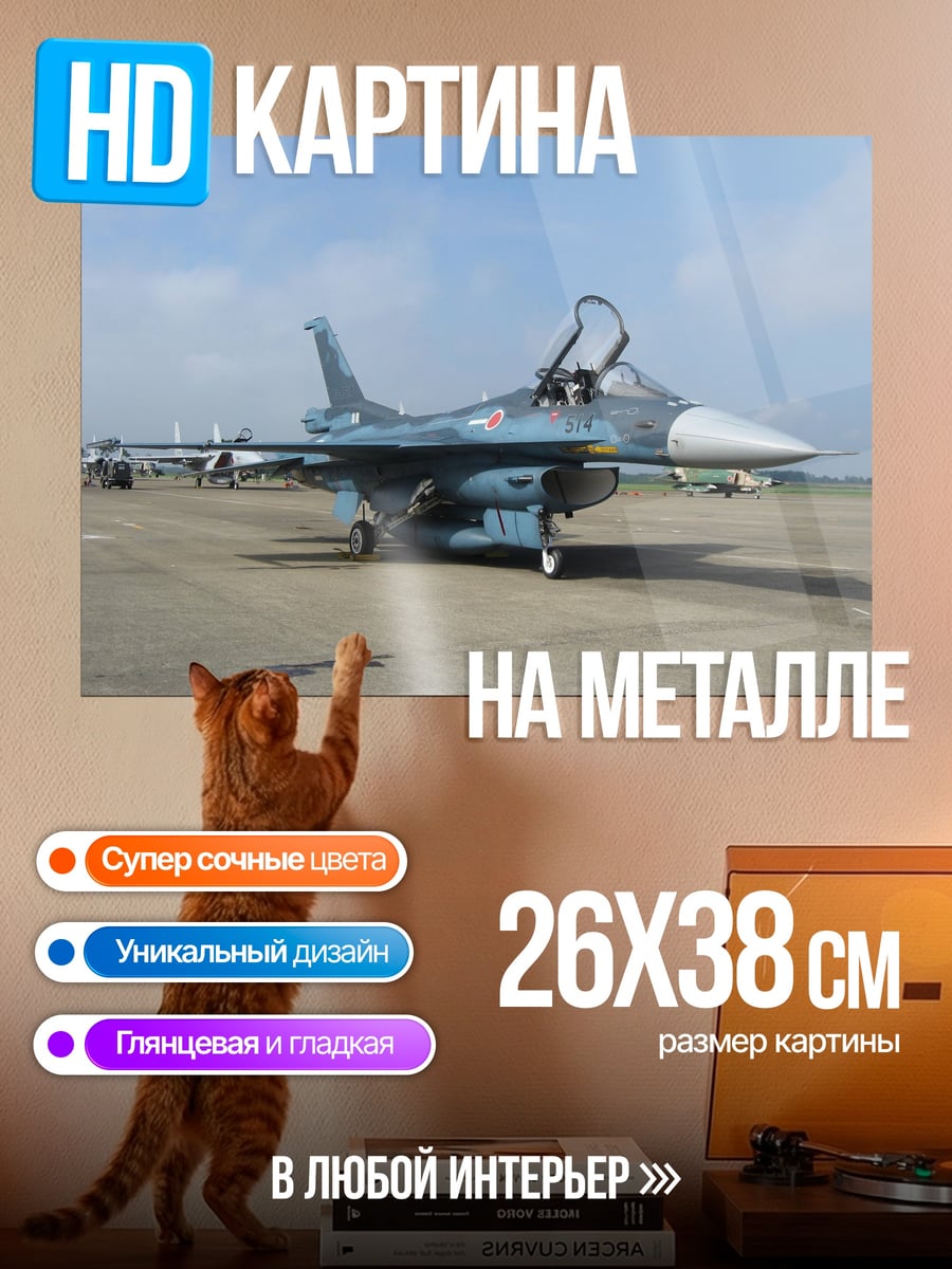 Картина на металле Истребитель F-2