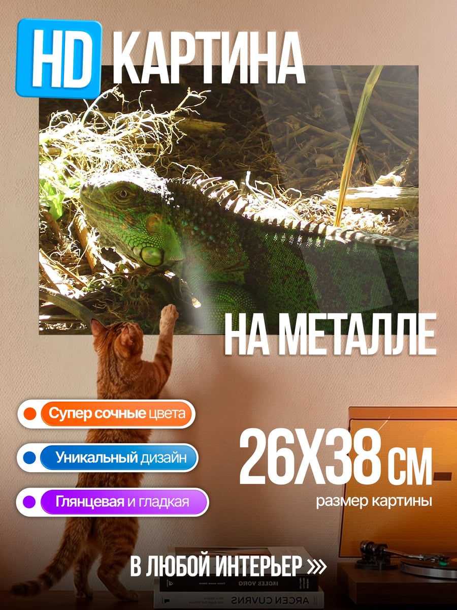 Картина на металле Зелёная игуана