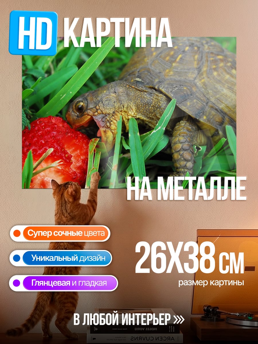 Картина на металле Черепаха ест клубнику