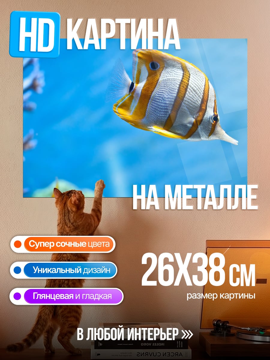 Картина на металле Рыба бабочка в аквариуме