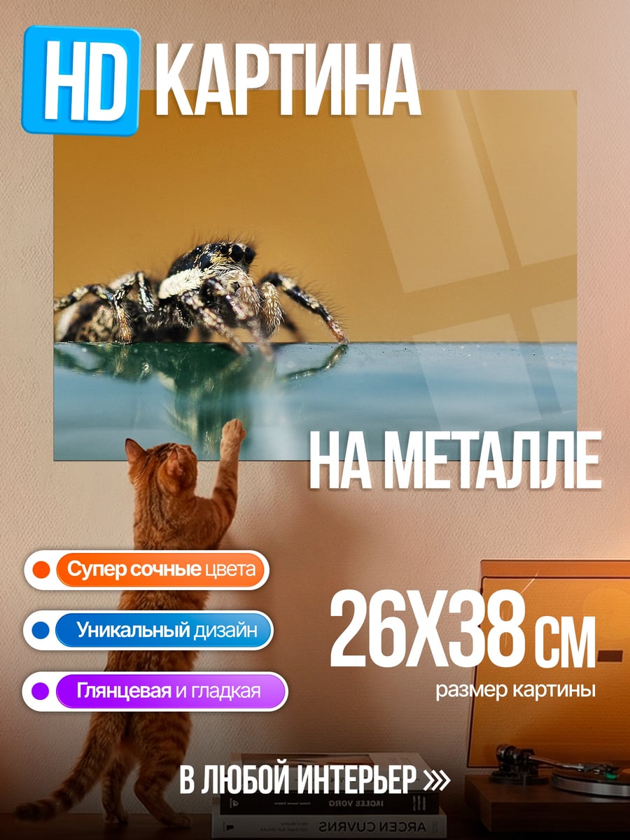 Картина на металле Паук на воде