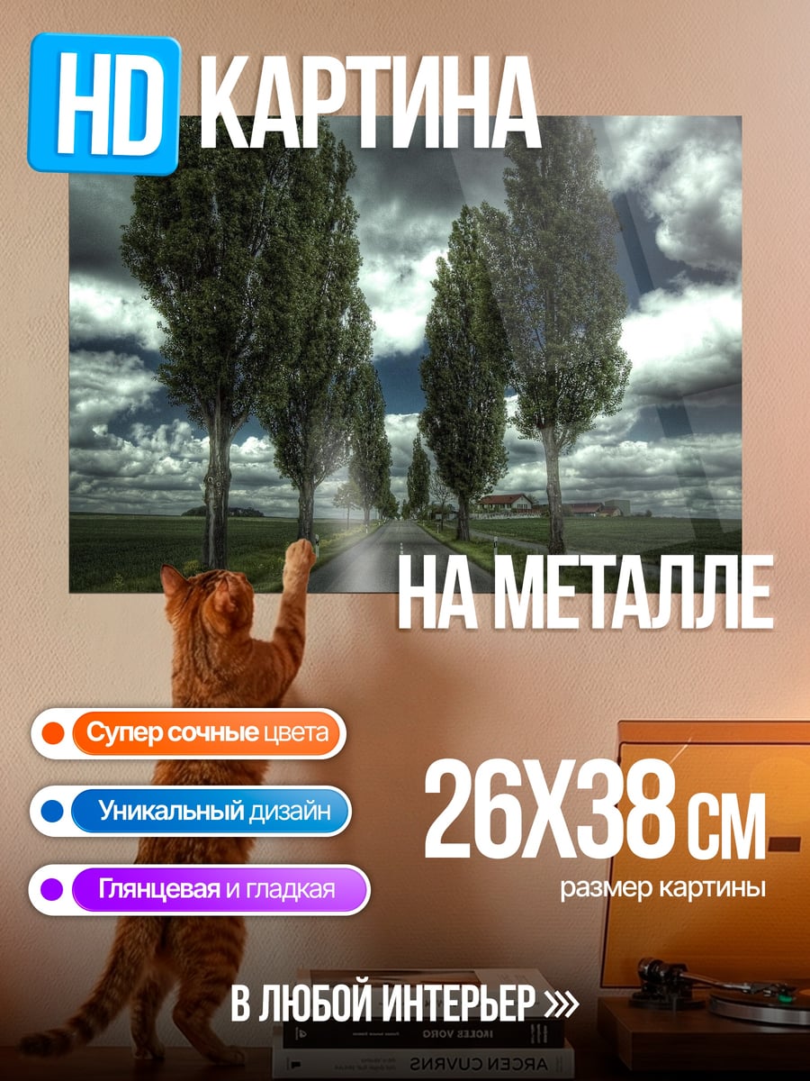Картина на металле Дорога под грозовым небом