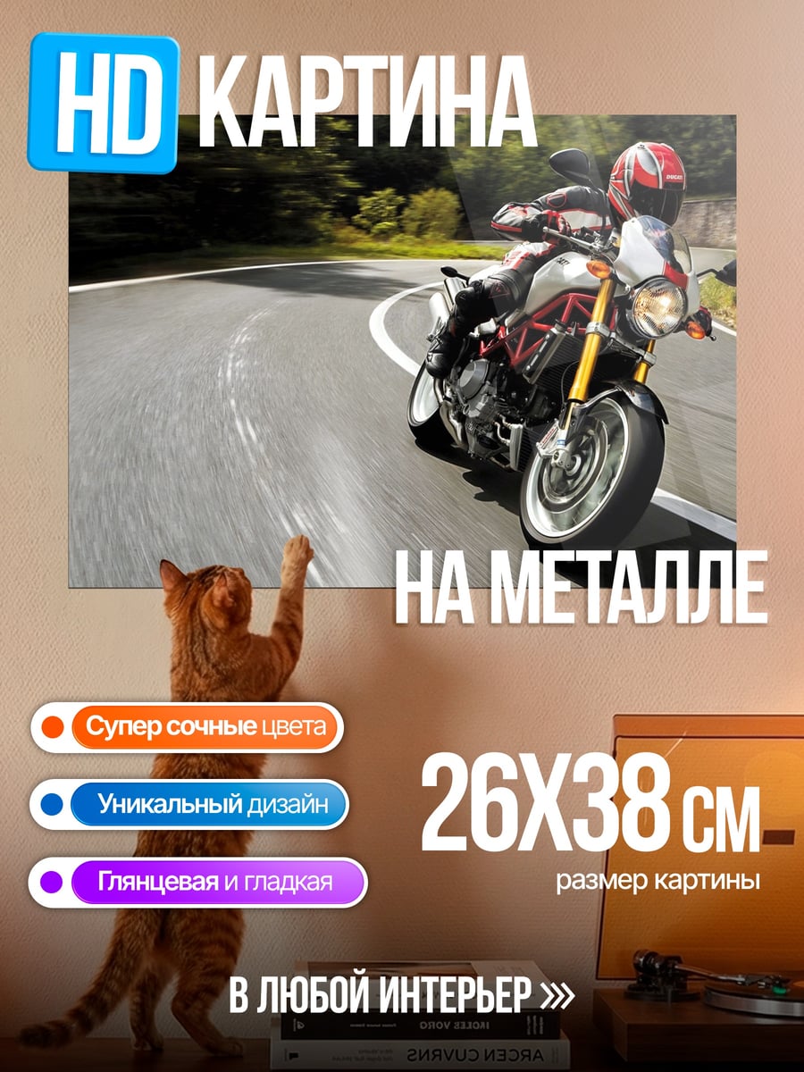 Картина на металле скоростной мотоцикл