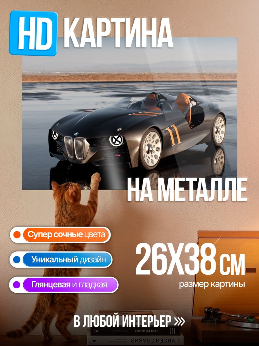 Картина на металле Черный родстер