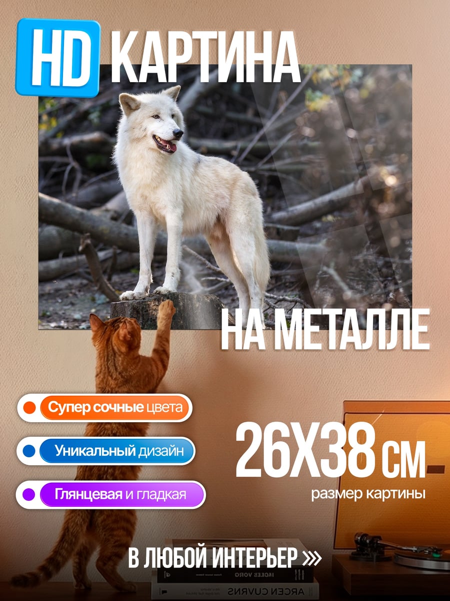 Картина на металле Белый волк