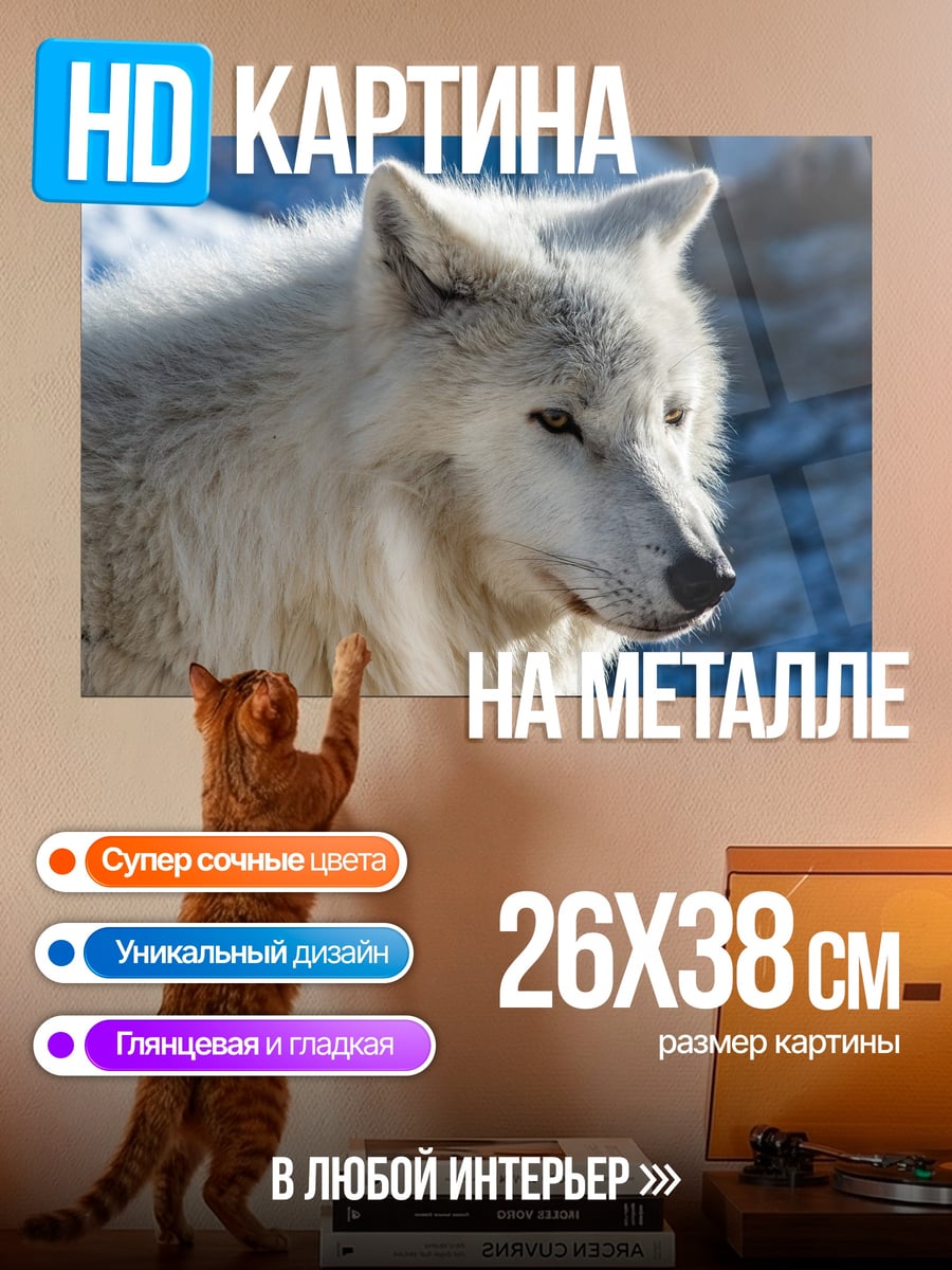 Картина на металле Белый волк