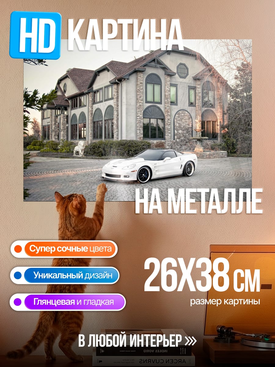 Картина на металле Белый спорткар