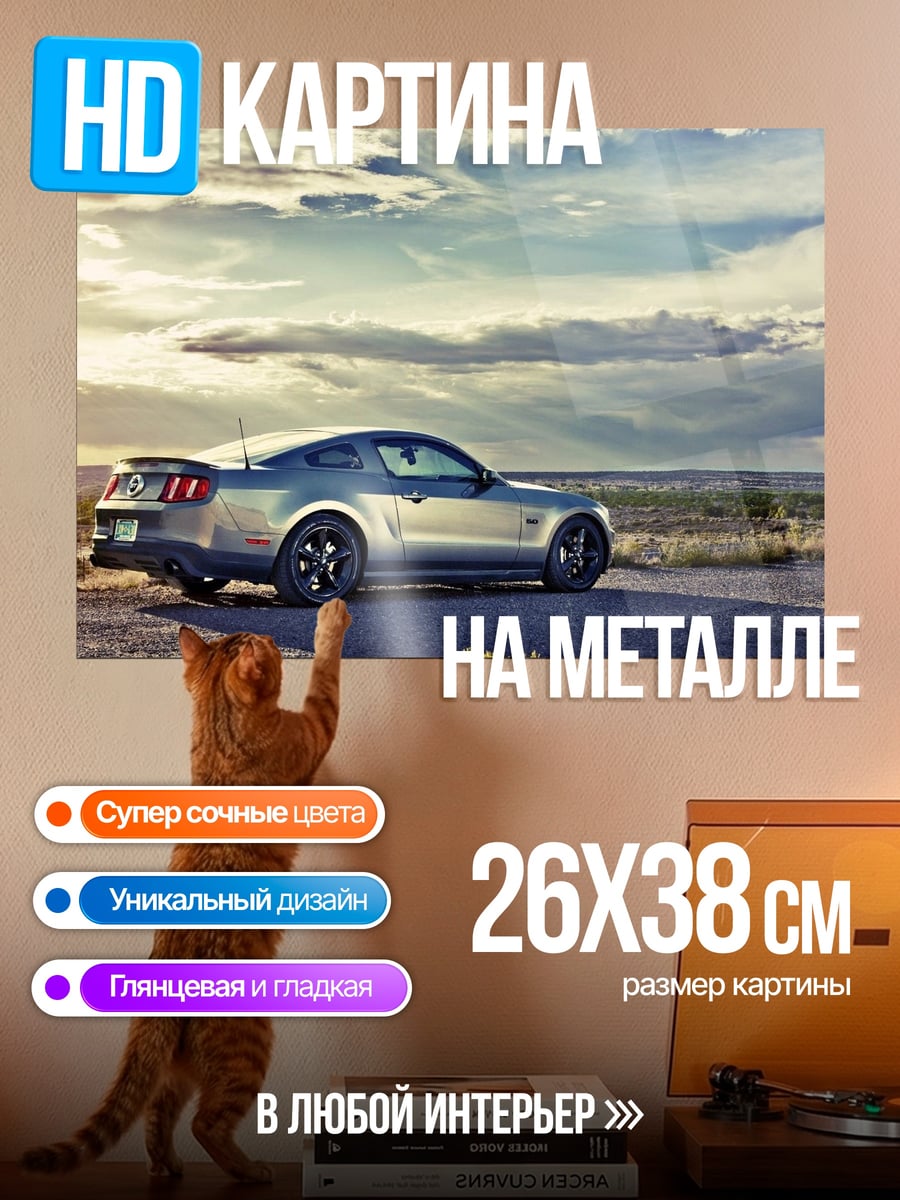 Картина на металле Серебристый мустанг