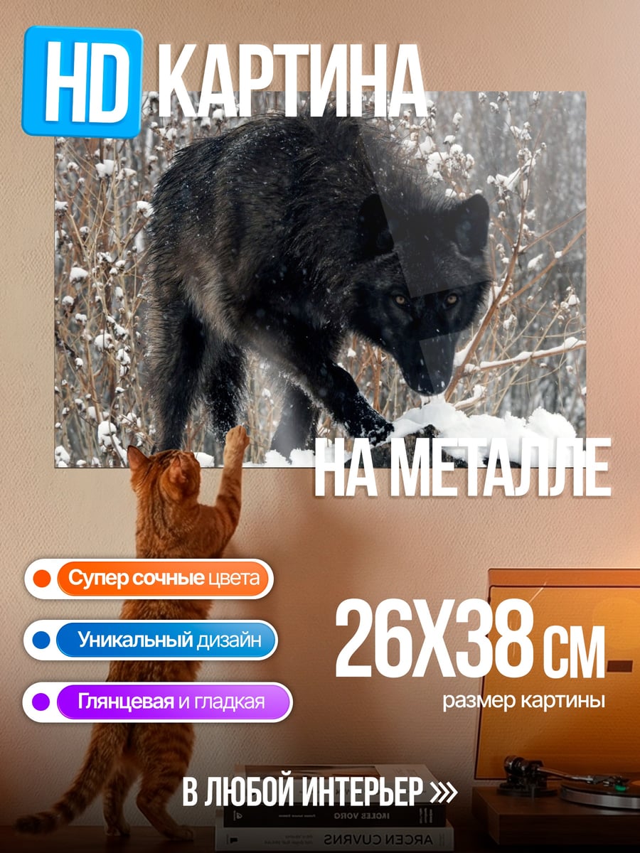 Картина на металле Черный волк