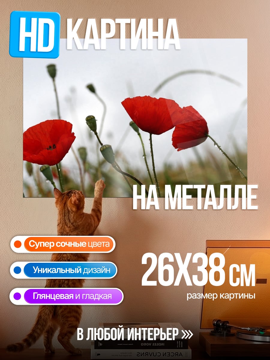 Картина на металле Красные маки