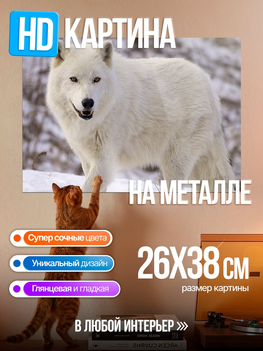 Картина на металле белый волк зимой