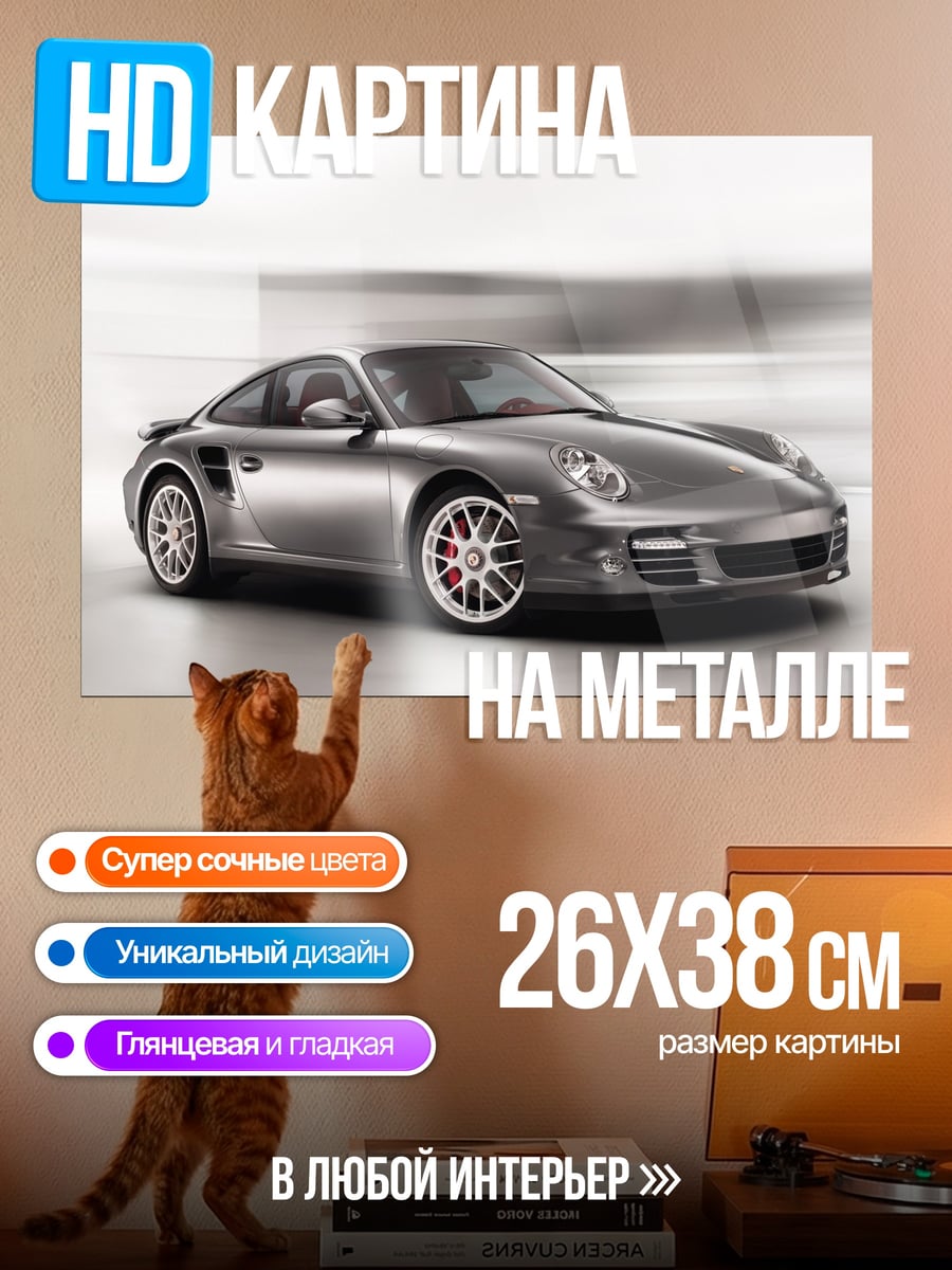 Картина на металле Серебряный Порше