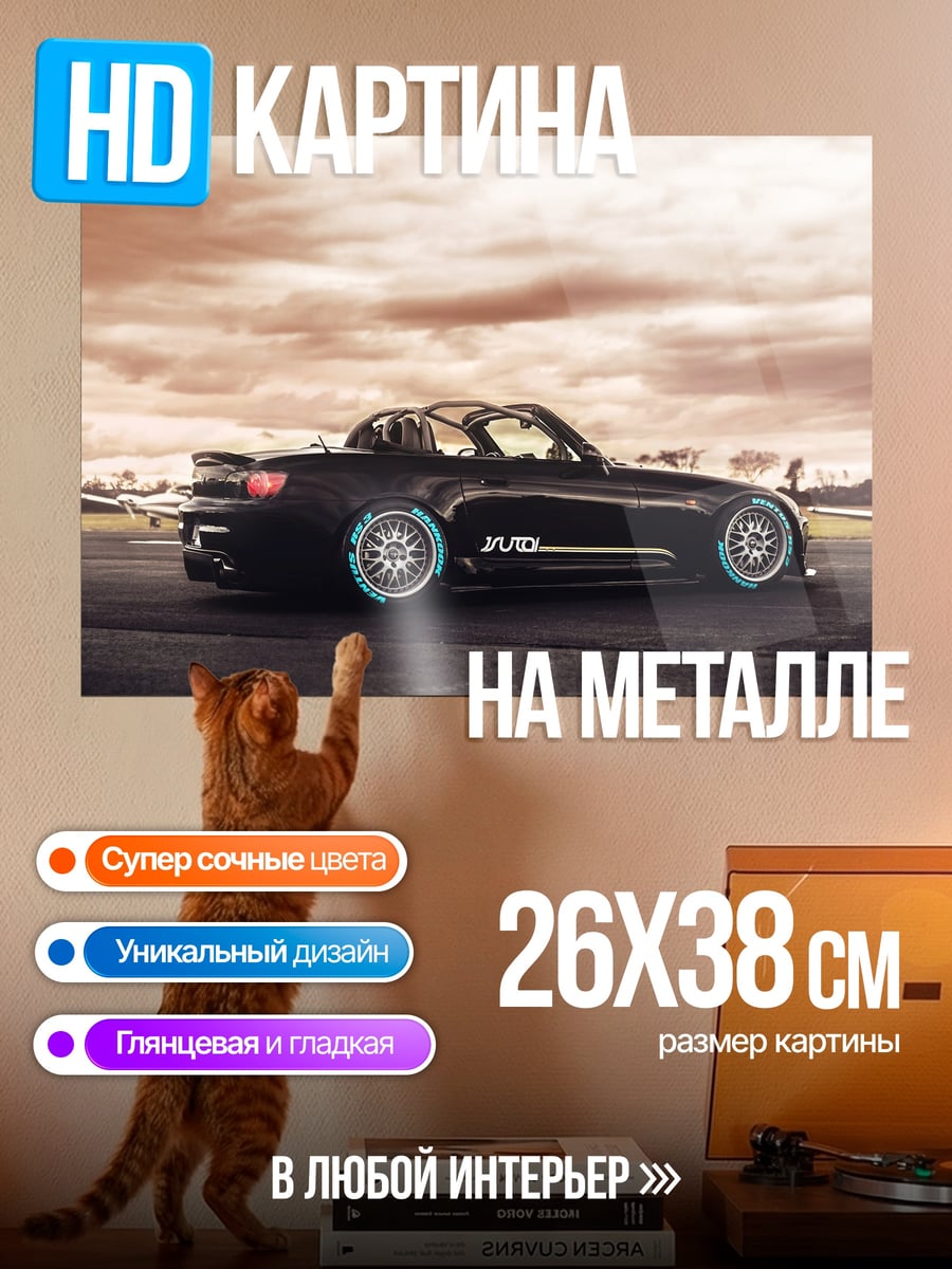 Картина на металле Черный родстер