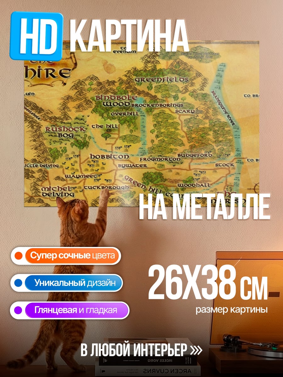 Картина на металле Карта Шира
