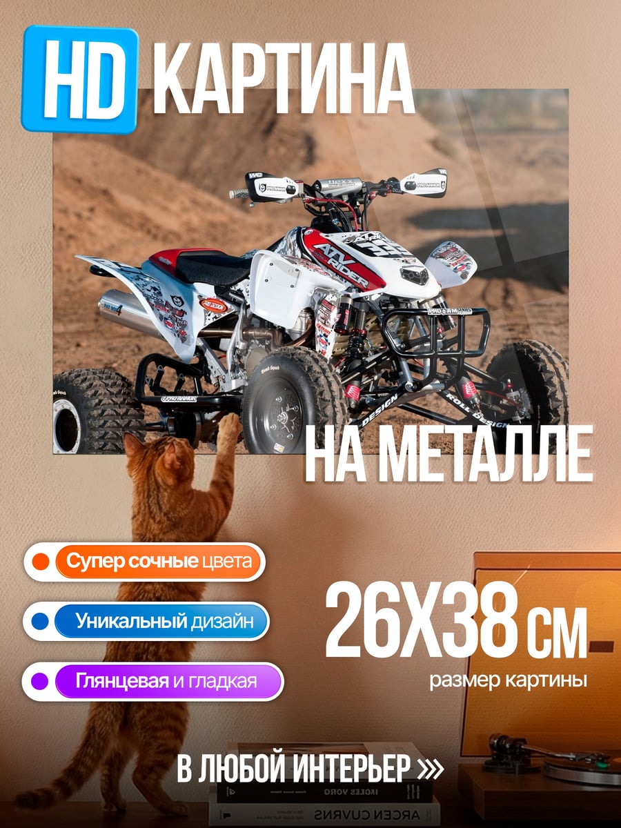 Картина на металле Квадроцикл на песке