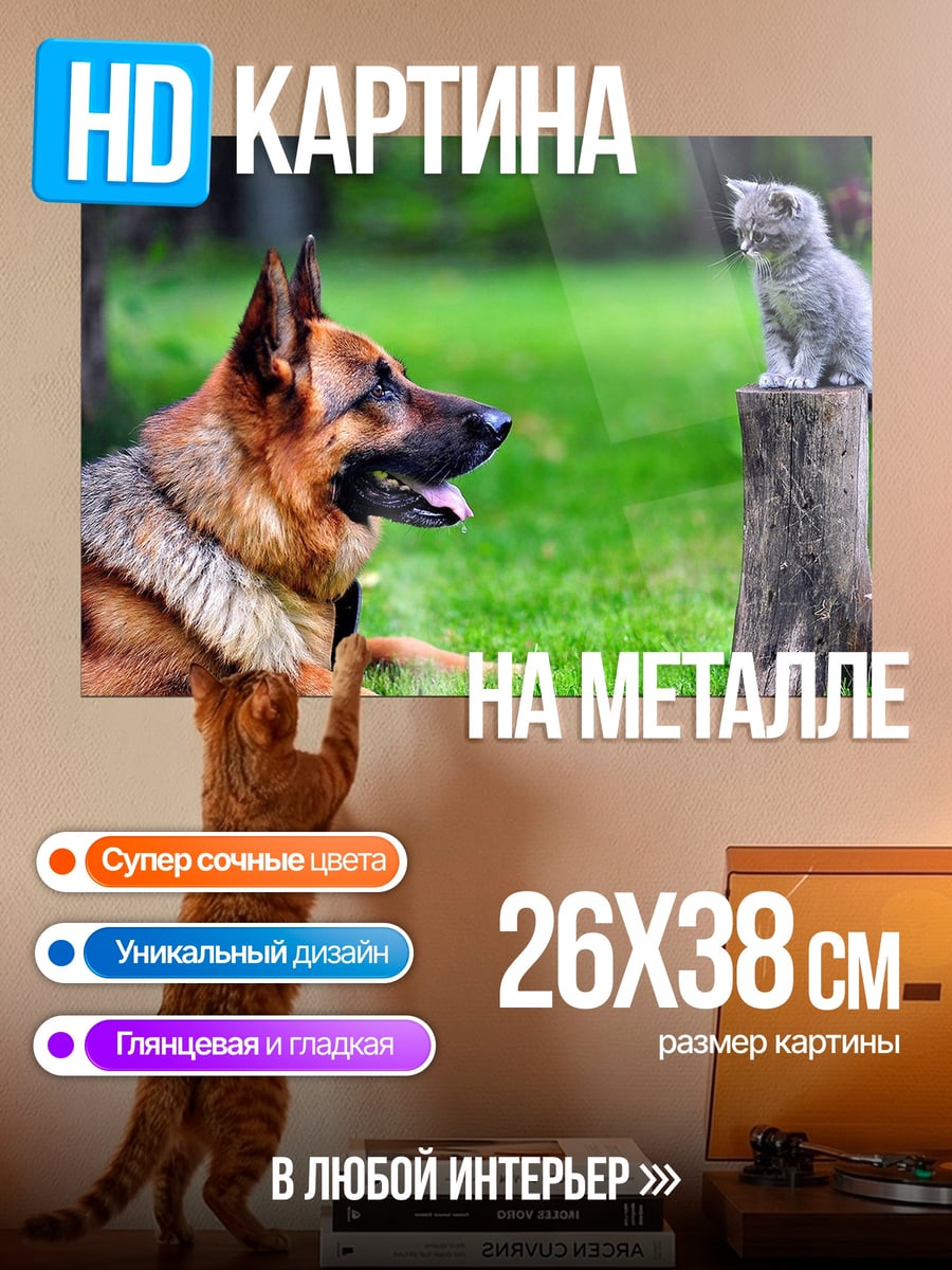 Картина на металле собака и кот