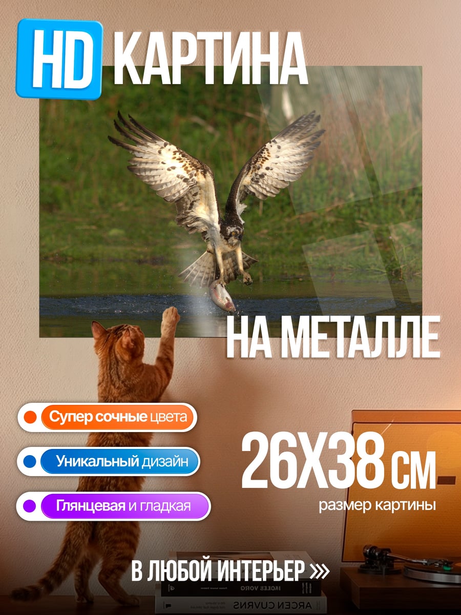Картина на металле Орел ловит рыбу