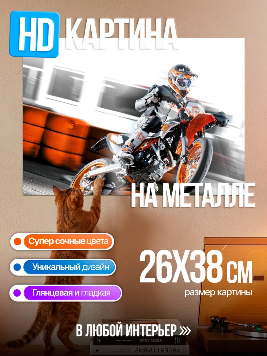 Картина на металле Мотоциклист на треке