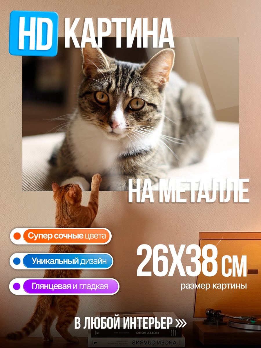Картина на металле Полосатый кот лежит