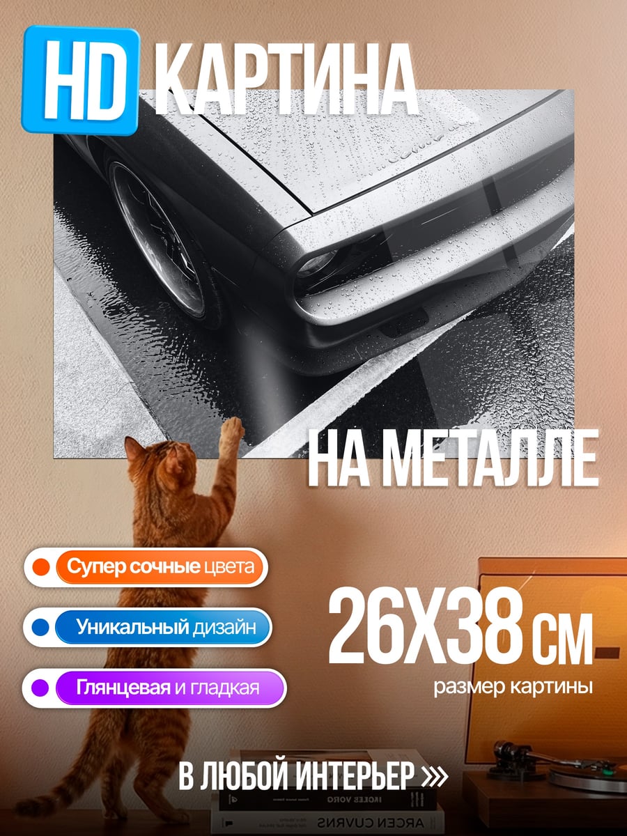 Картина на металле черный автомобиль на мокрой дороге