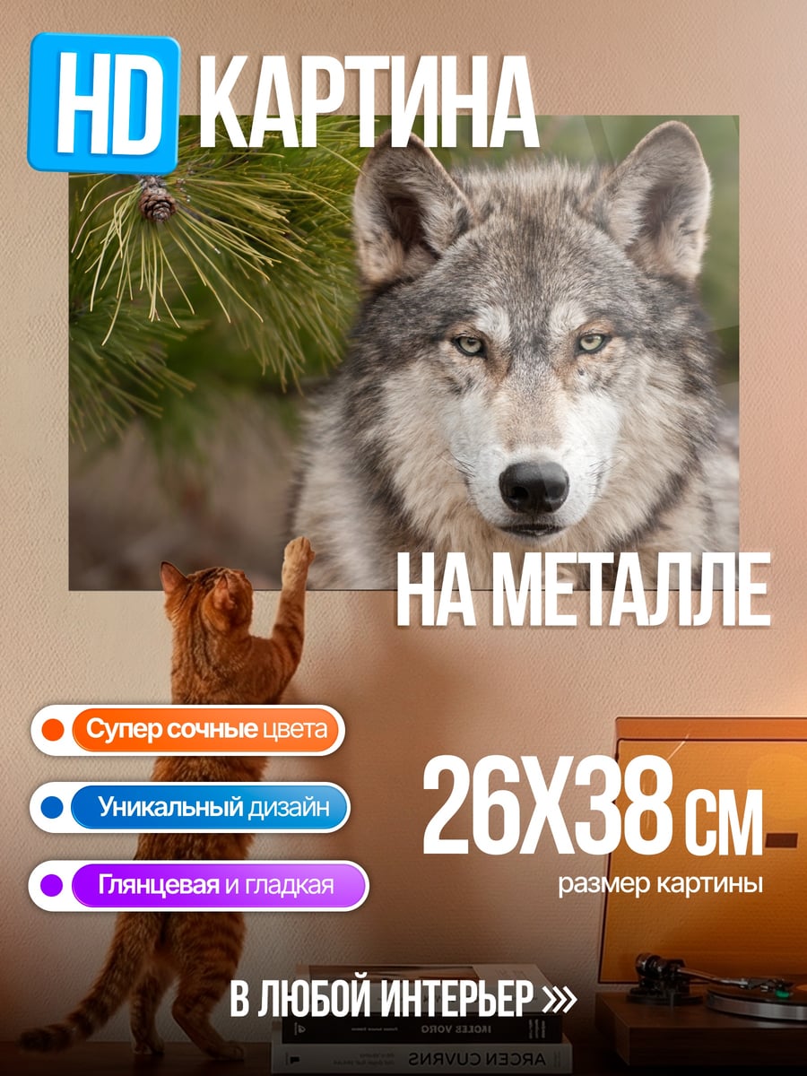 Картина на металле портрет волка