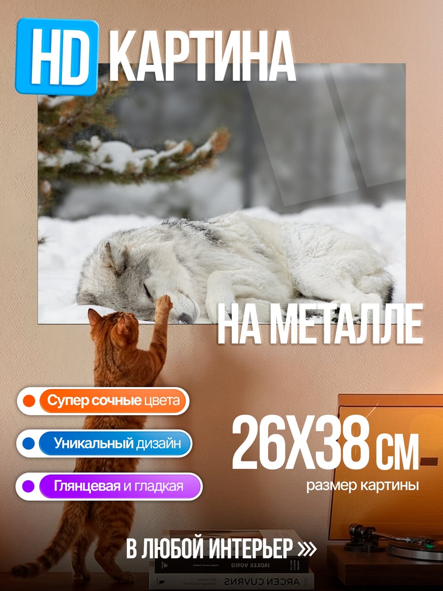 Картина на металле Спящий волк в снегу