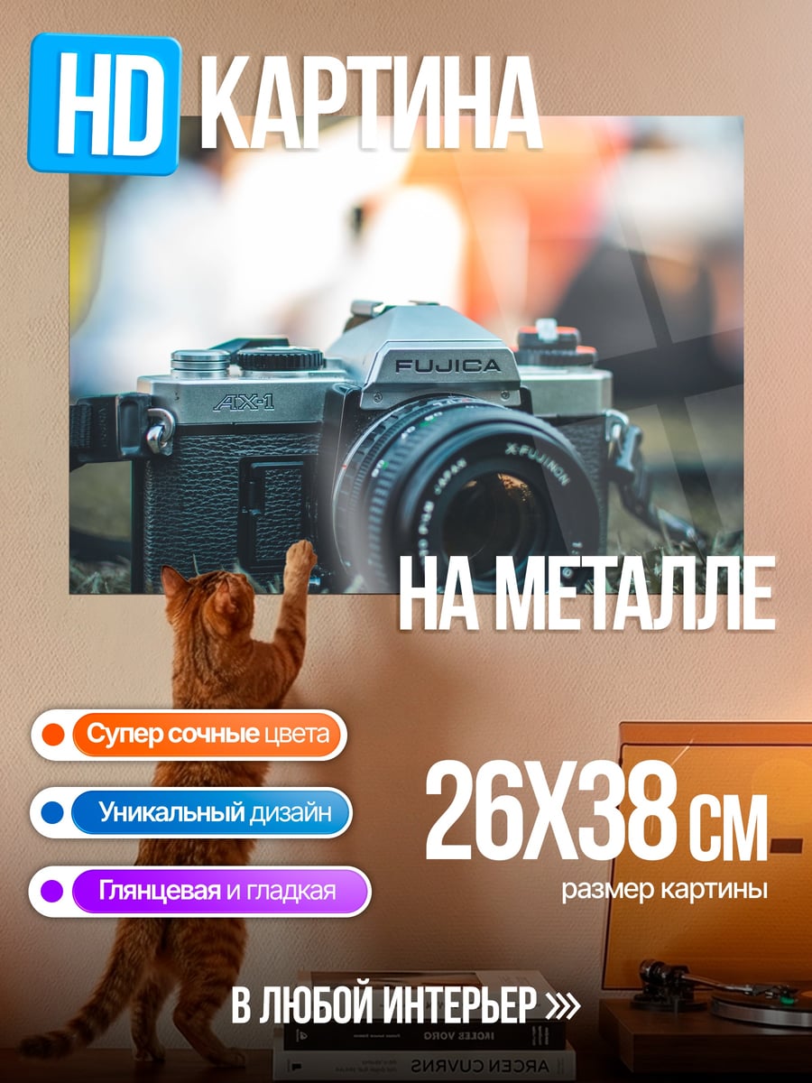 Картина на металле Старая камера