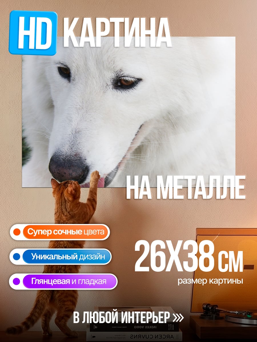Картина на металле Белый пес