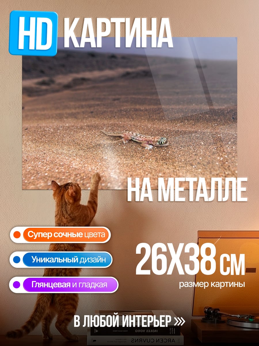 Картина на металле Пустынный пейзаж