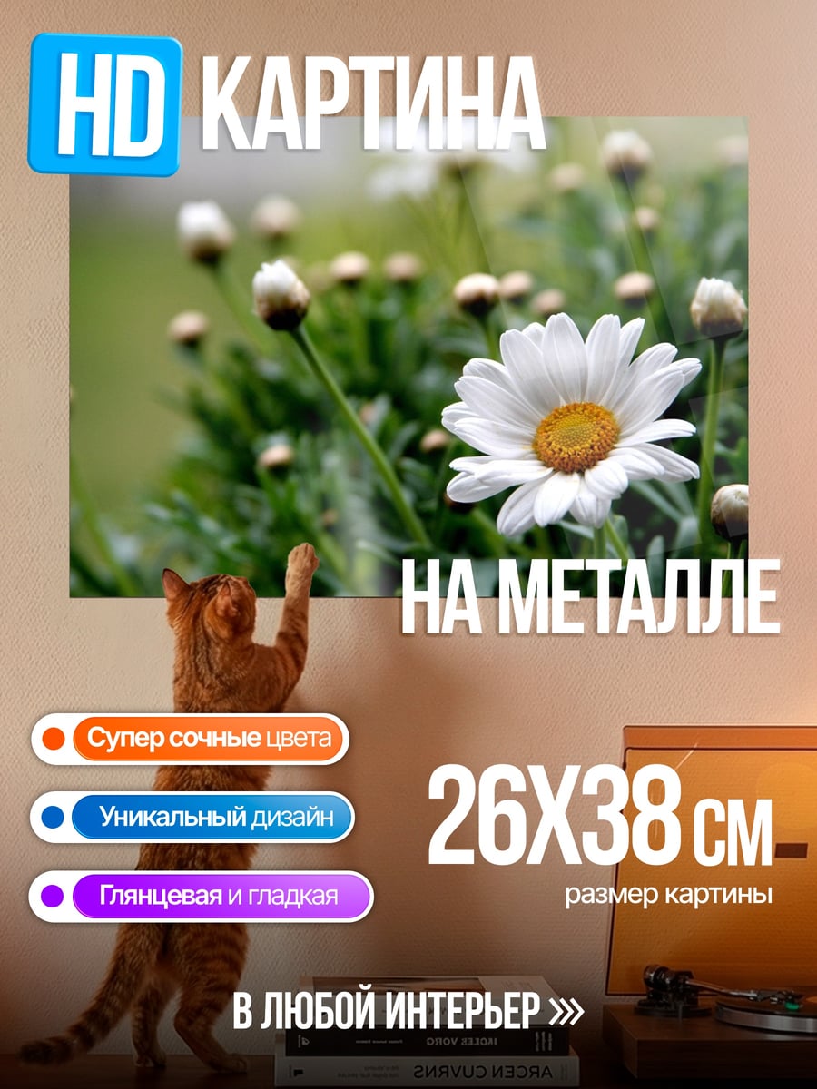 Картина на металле Белая ромашка