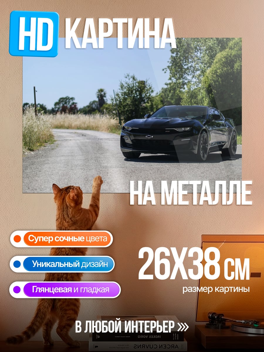 Картина на металле Черный маслкар