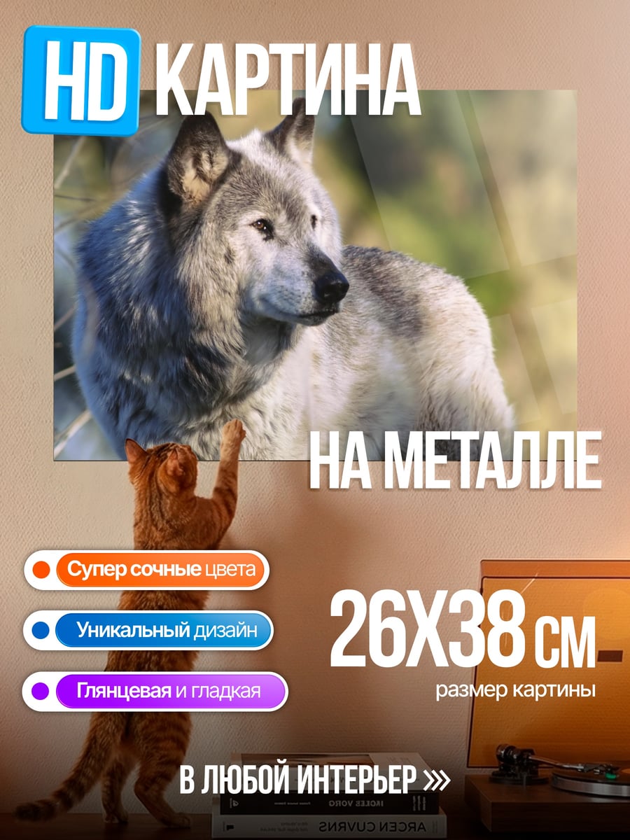 Картина на металле Серый волк в лесу