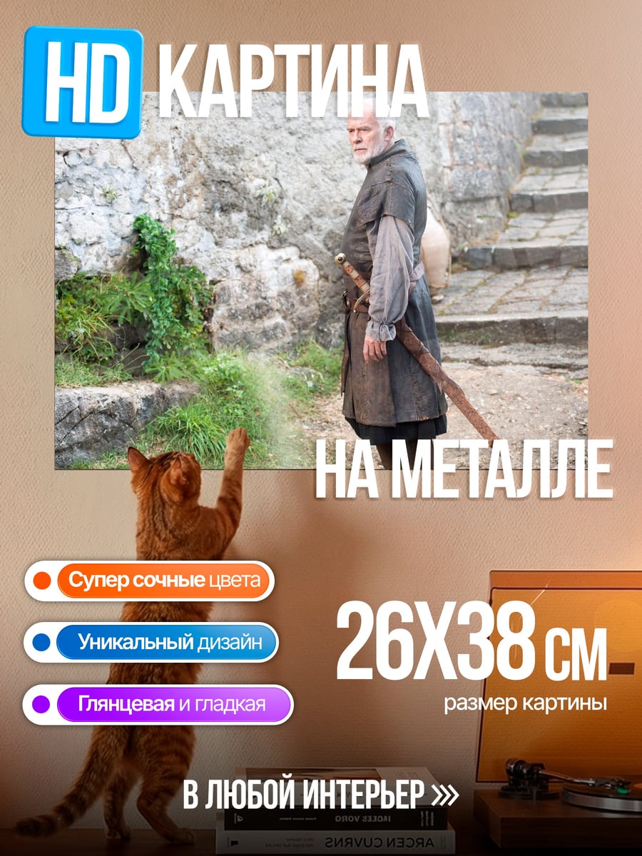 Картина на металле Старик с мечом