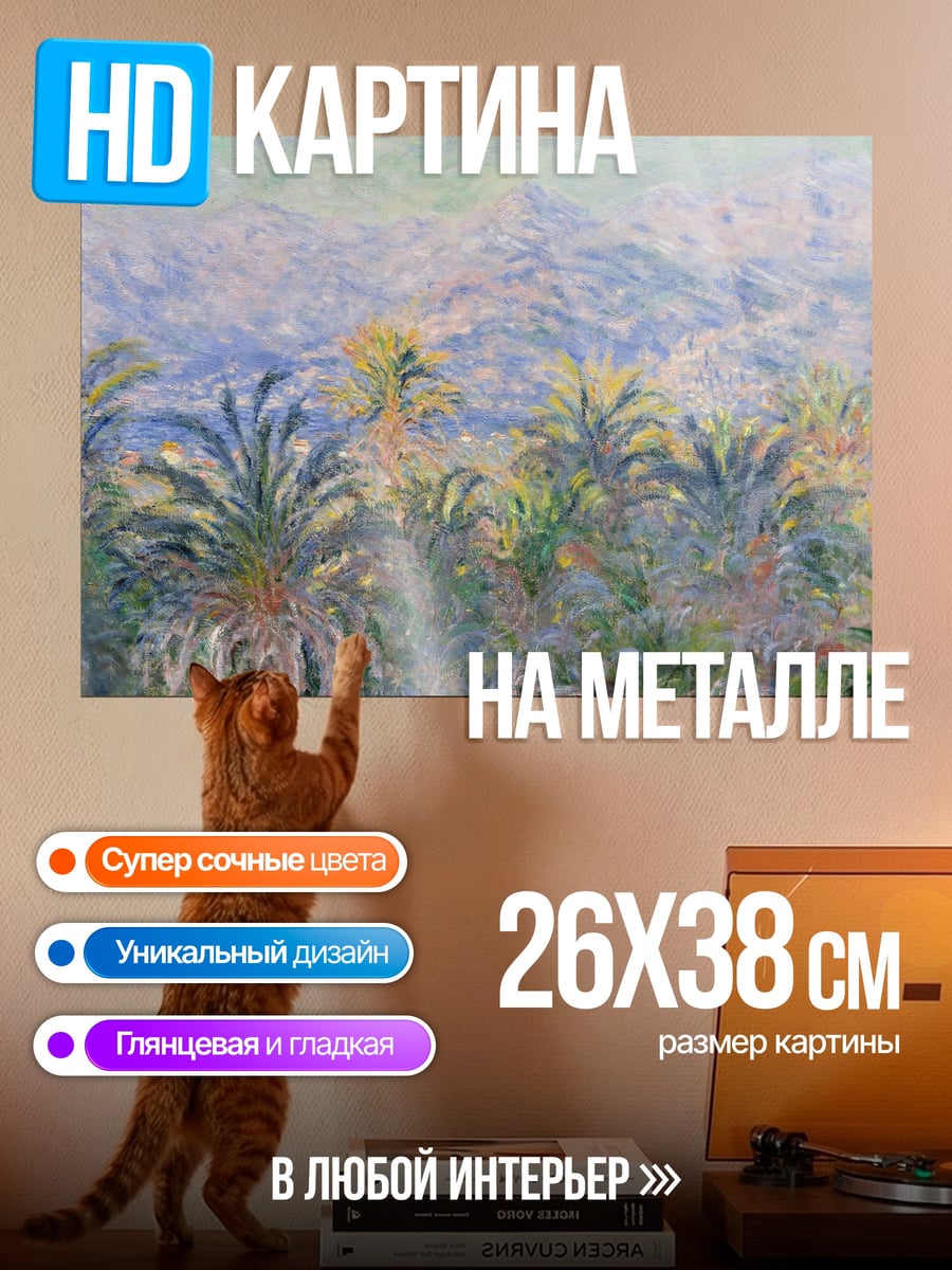 Картина на металле Пальмовый лес утром