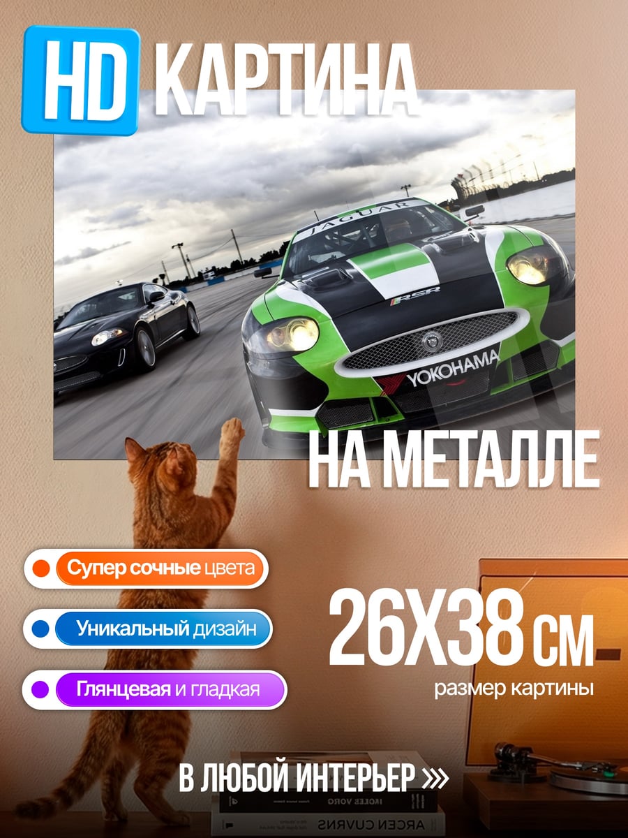 Картина на металле Гонка на спорткарах