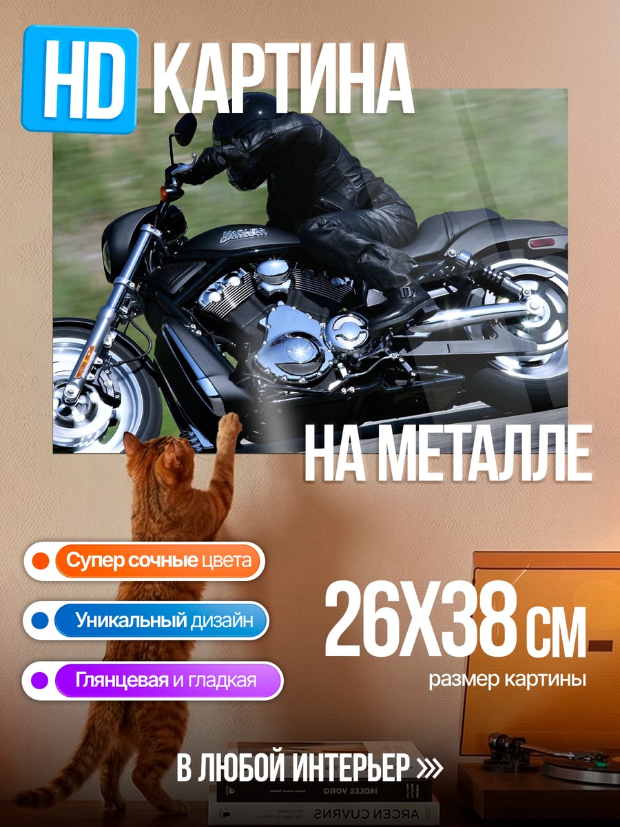 Картина на металле Мотоциклист на дороге