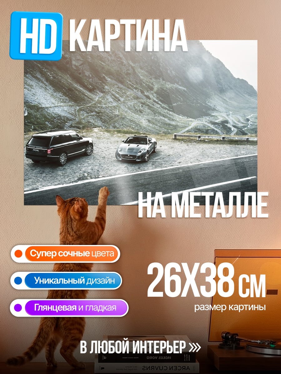 Картина на металле Автомобили в горах