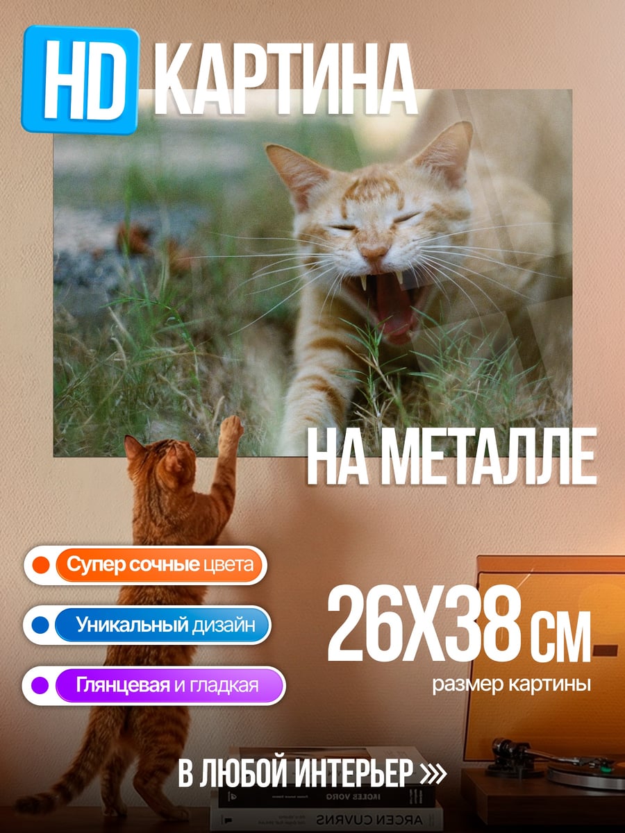 Картина на металле Зевающий кот