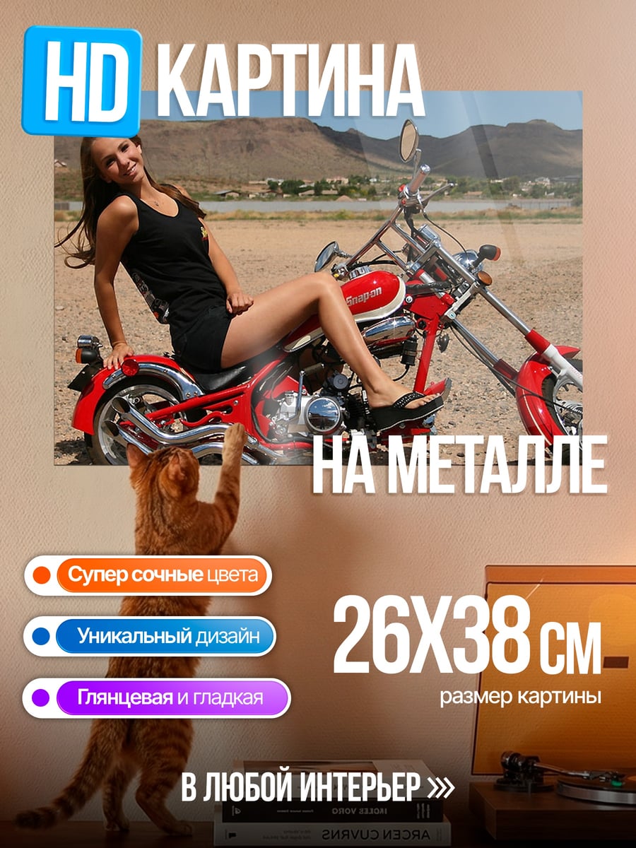 Картина на металле Девушка на мотоцикле