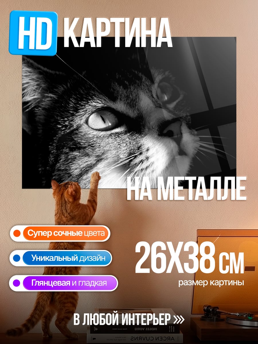 Картина на металле Черно-белый кот