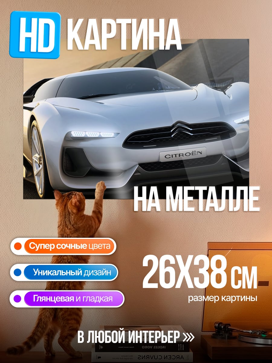 Картина на металле Концепткар Citroen GT