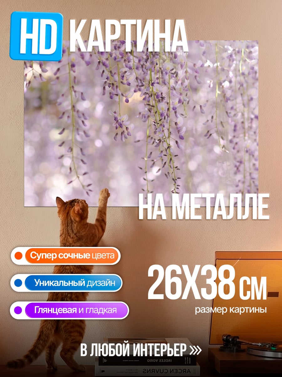 Картина на металле Цветущая глициния весной