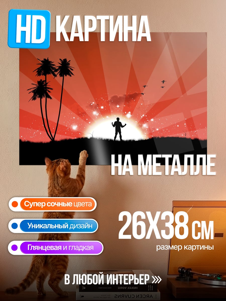 Картина на металле Силуэт человека на закате
