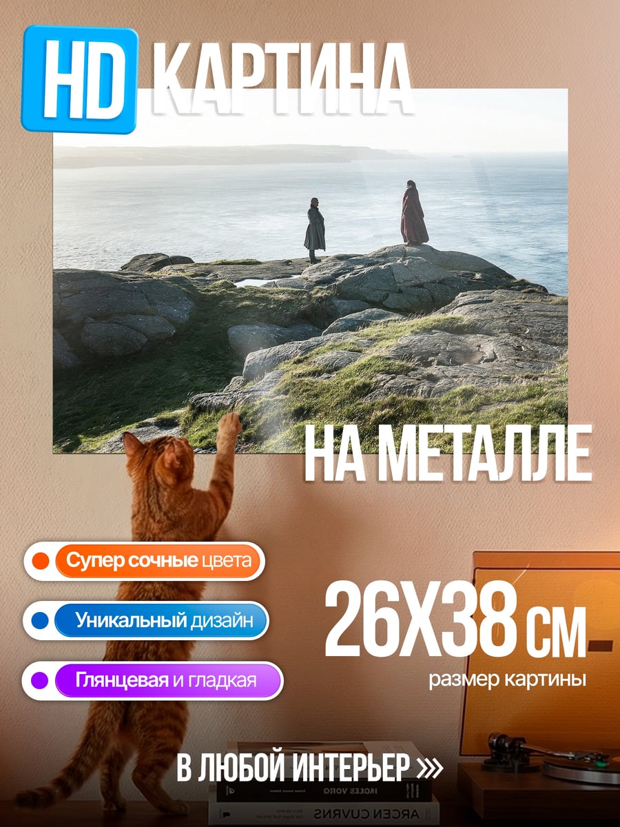 Картина на металле две фигуры на утесе