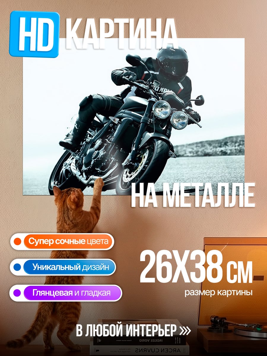 Картина на металле Мотоциклист в шлеме