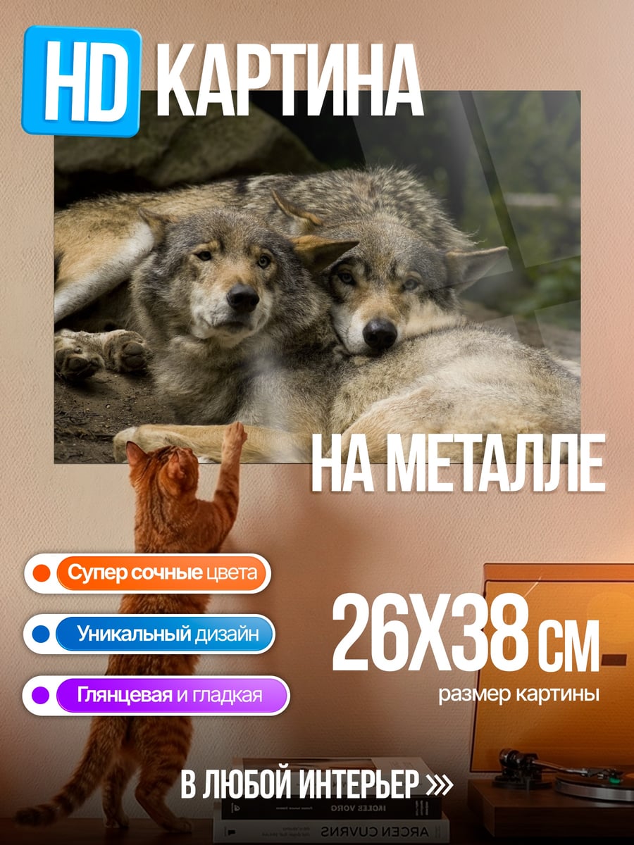 Картина на металле Два волка лежат