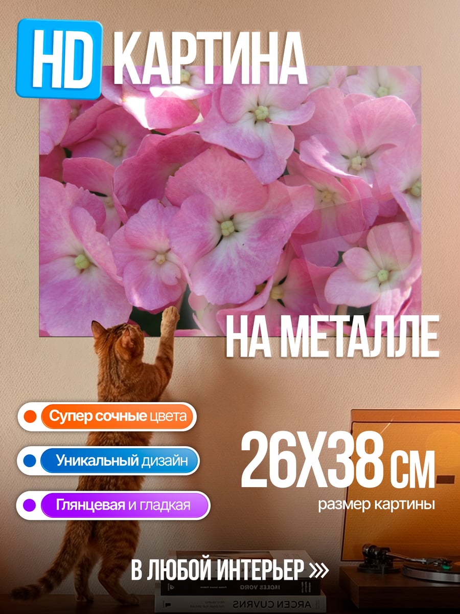 Картина на металле розовые цветы гортензии